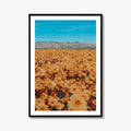 San Luis Obispo Fine Art Photo Print, Carrizo Plain National Monument, California USA Poster