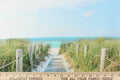 This fabric features a beautiful realistic view of a boardwalk out through the sand dunes to the ocean in beige, blue, green and gray.