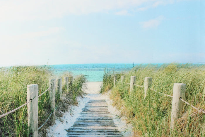 This fabric features a beautiful realistic view of a boardwalk out through the sand dunes to the ocean in beige, blue, green and gray.