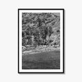 Santa Catalina Island Black and White Fine Art Photo Print, Avalon Bay California Poster