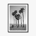 Santa Monica Black and White Fine Art Photo Print, California Palm Trees Poster