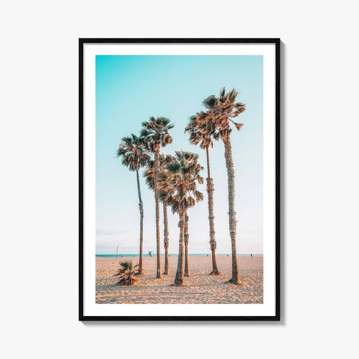 Santa Monica Fine Art Photo Print, Los Angeles, California Beach, Palm Trees, Wall Poster