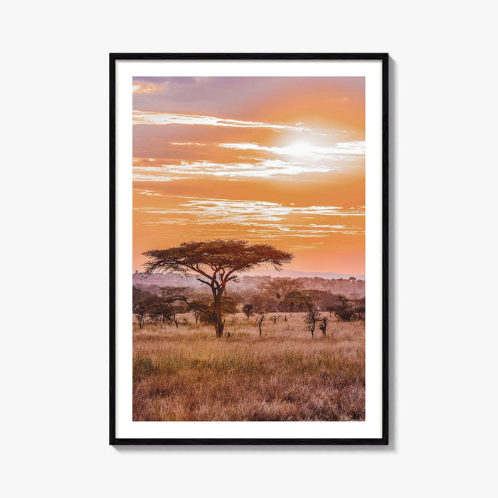 Serengeti Tanzania Fine Art Photo Print, Africa Wall Decor Poster, Safari Savanna, Acacia Trees