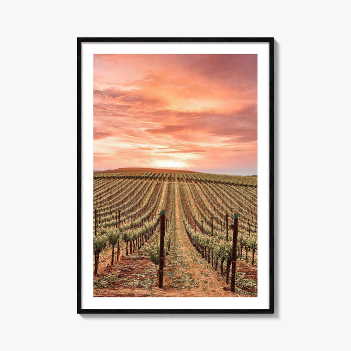 Sonoma Fine Art Photo Print, Napa Valley Wine Country, California Poster, Hot Air Balloon