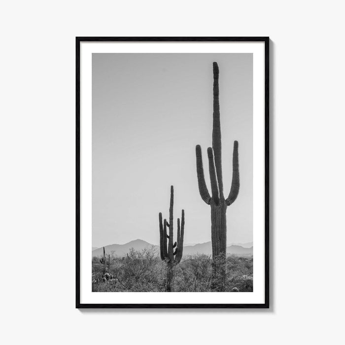 Saguaro National Park Black and White Fine Art Photo Print, Tucson Arizona Desert Poster
