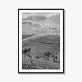 Munnar Black and White Fine Art Photo Print, Kerala India Tea Plantations Wall Poster