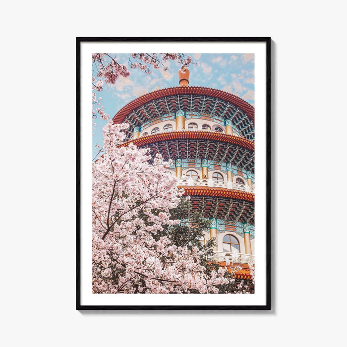 Taipei Fine Art Photo Print, Sakura Garden, Cherry Blossom, Taiwan, Wall Decor Poster