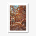 Tampa Mountain Fine Art Photo Print, Brasov Romania Poster, Transylvania Wall Art