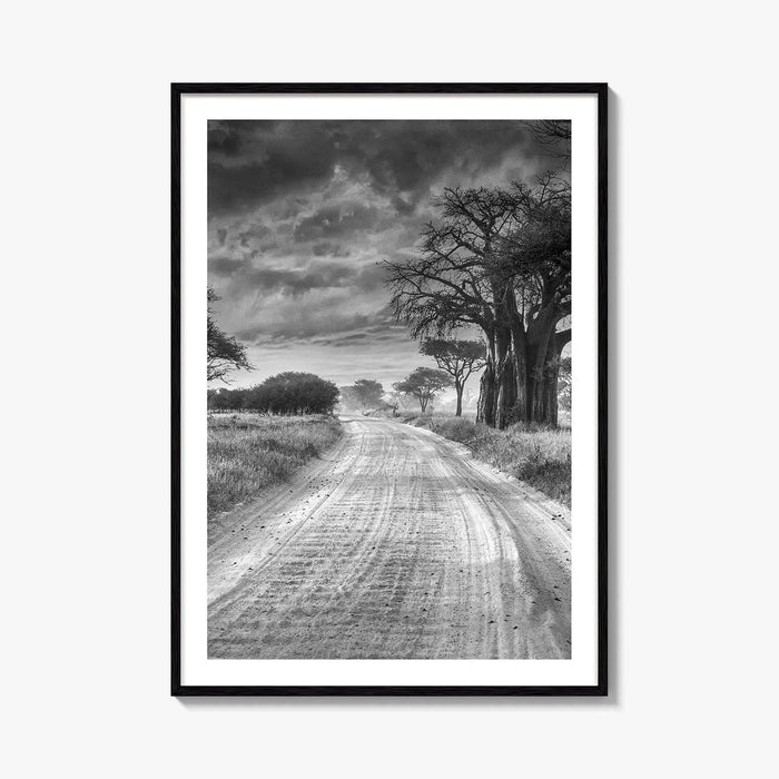 Tanzania Black and White Fine Art Photo Print, Africa Wall Art, Safari Poster
