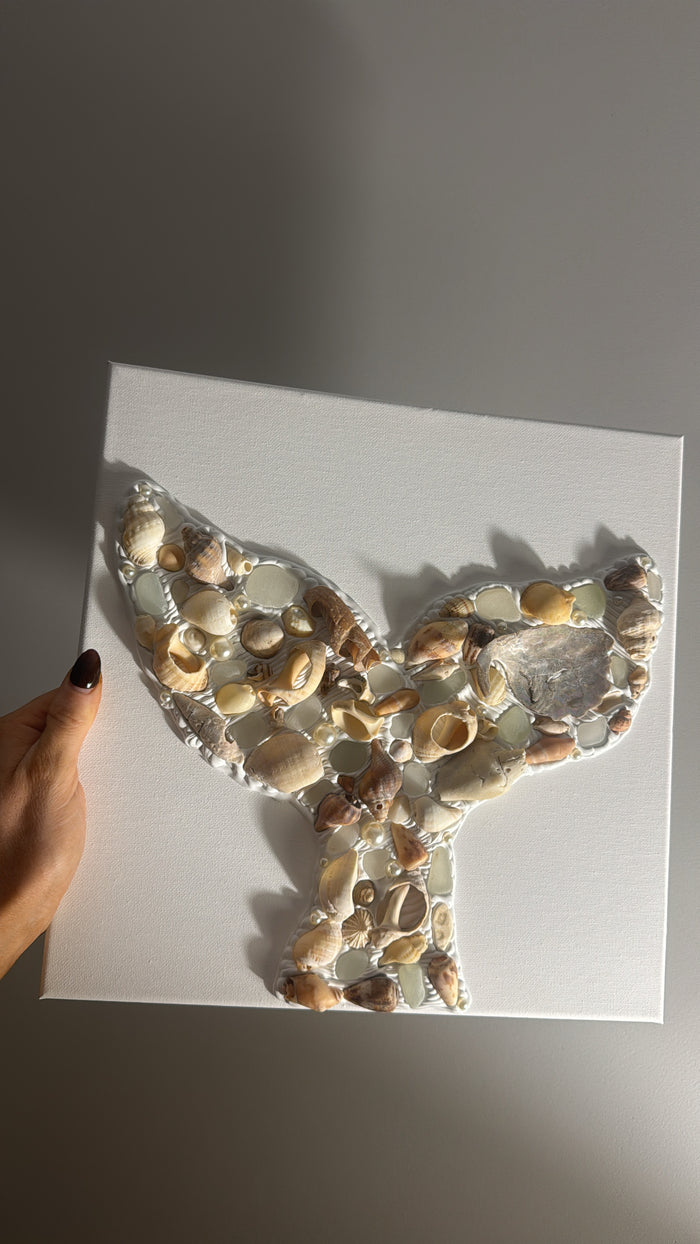 Tasmanian Seashell Canvas 🐚