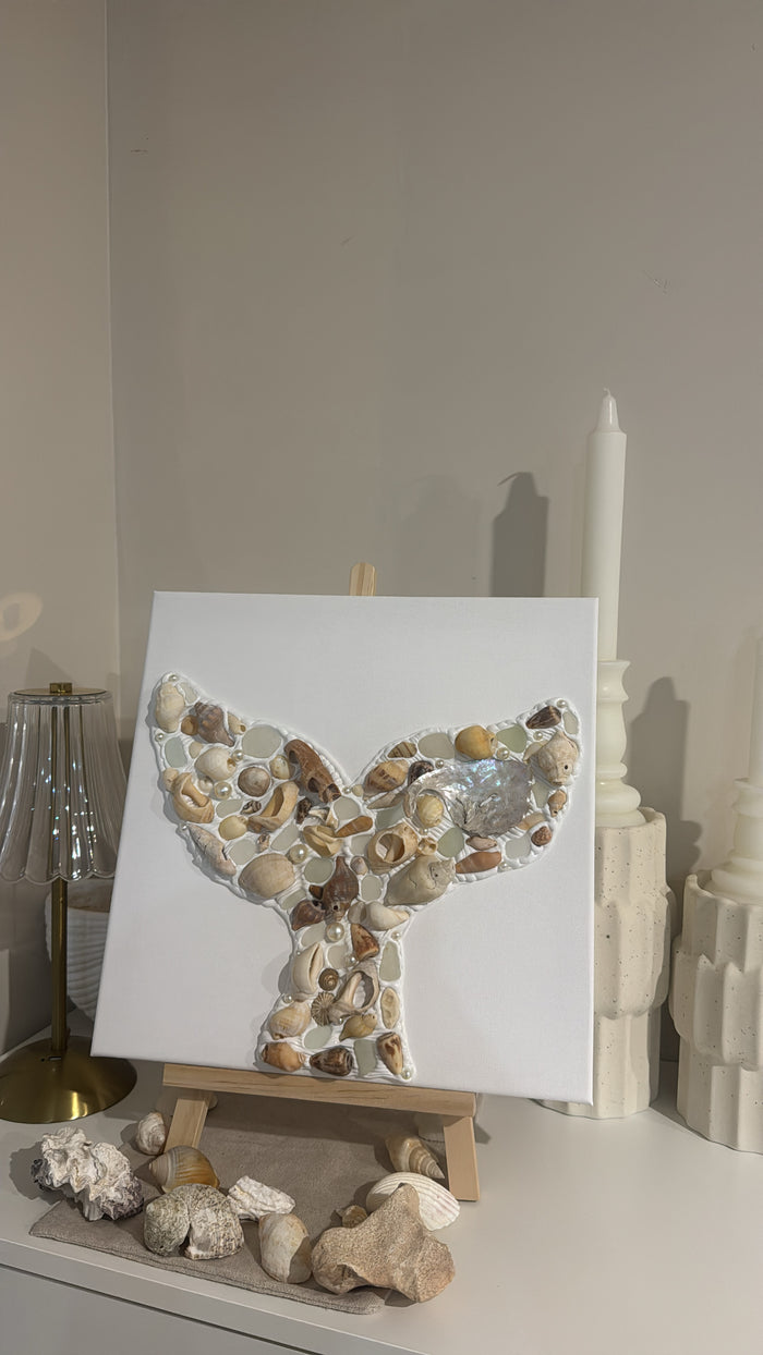 Tasmanian Seashell Canvas 🐚