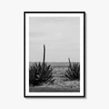 West Texas Black and White Fine Art Photo Print, Agave Chihuahuan Desert Poster