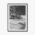 The Bahamas Black and White Fine Art Photo Print, Palm Trees, Caribbean, Nassau Poster