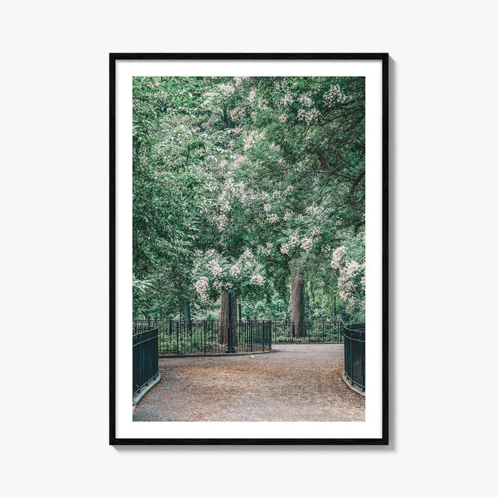 Tompkins Square Park Fine Art Photo Print, East Village NYC, Manhattan Poster, USA