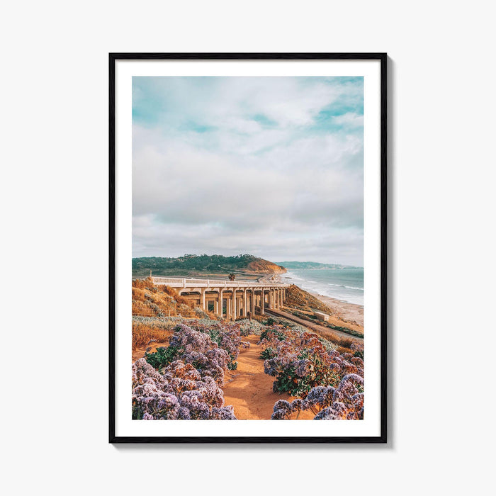 Torrey Pines Fine Art Photo Print, Del Mar, San Diego, California, Pacific Ocean Poster
