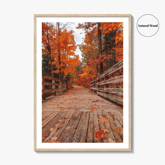 Traverse City Fine Art Photo Print, Logan's Landing, Michigan USA Wall Decor Poster