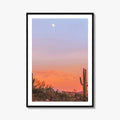 Tucson Fine Art Photo Print, Arizona Wall Decor, Saguaro National Park, Sonoran Desert, USA