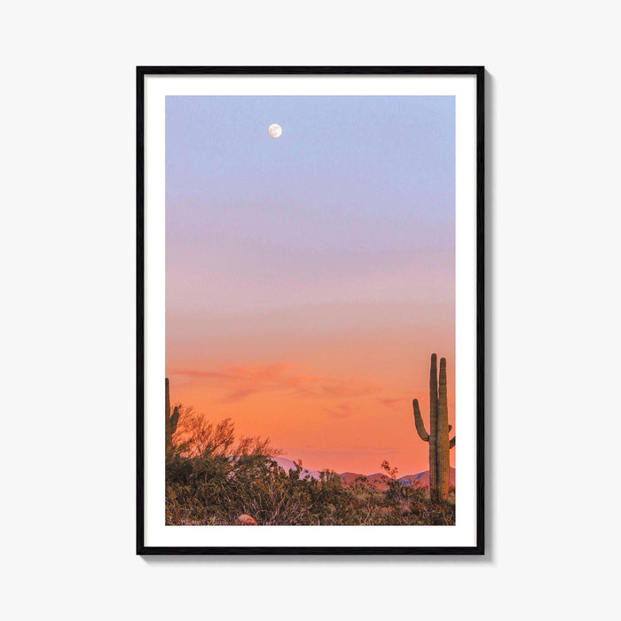 Tucson Fine Art Photo Print, Arizona Wall Decor, Saguaro National Park, Sonoran Desert, USA