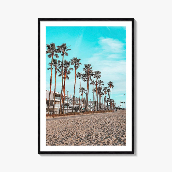 Venice Beach Fine Art Photo Print, Los Angeles California Wall Decor, Palm Tree