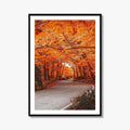 Vermont Fine Art Photo Print, Autumn Foliage, State Park, New England USA, Poster