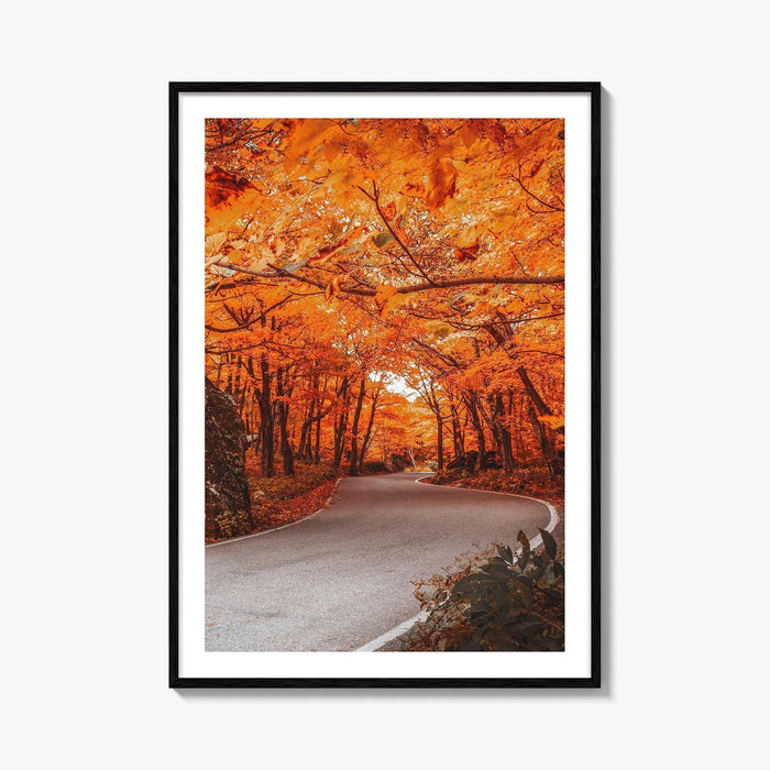 Vermont Fine Art Photo Print, Autumn Foliage, State Park, New England USA, Poster
