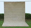 VIRSA 01 - Beige Wool Rug